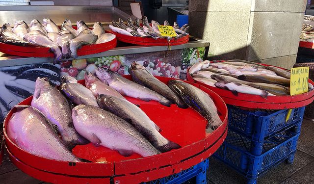 Av yasağı başlayınca kültür balıkları revaçta