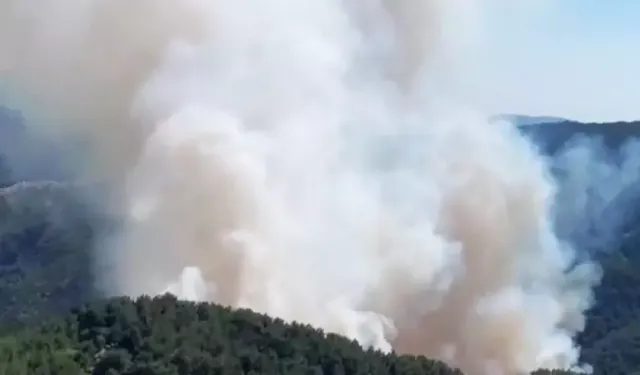 5 ilde orman yangını