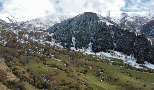 Artvin'de sonbahar ve kış manzaraları aynı karede (Artvin Haber)