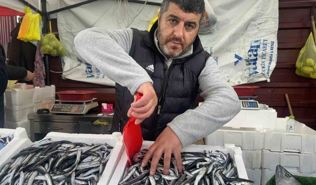 Zonguldak’ta fiyatı düşen hamsiye vatandaşlardan yoğun ilgi