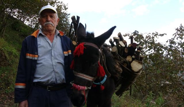 Giresun'un köylerinde katırcılık sona eriyor