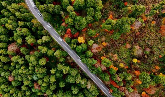 Gölcük Tabiat Parkı’nda mest eden sonbahar görüntüsü