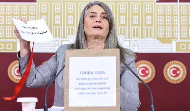 Sibel Suiçmez’den “Torba Yasa” Eleştirisi: “Anayasaya Aykırı”