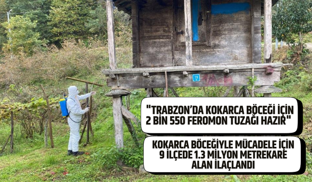 Trabzon’da kokarcayla mücadelede 1 milyon 312 bin metrekarelik alan ilaçlandı