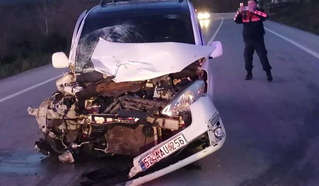 Ordu'da Trafik Kazası: 2 Ölü, 5 Yaralı