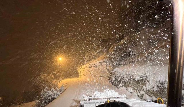 Artvin’de kar yağışı sonrası ekipler cadde ve sokaklarda çalışma başlattı