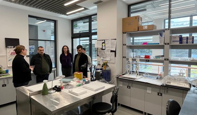 KTÜ, Akrep Zehrini Araştıracak