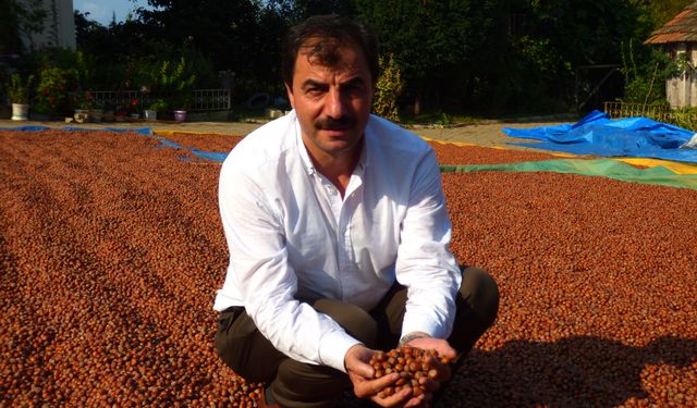 AKÇAABAT ZİRAAT ODASI BAŞKANLIĞINDAN ÜRETİCİLERE EYLÜL AYI UYARISI