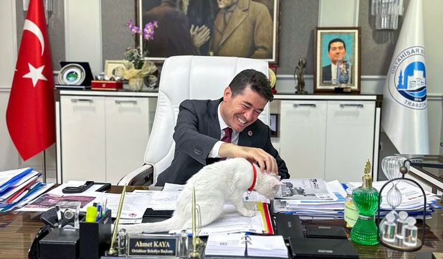 ORTAHİSAR’DA PATİLİ DOSTLARI SAHİPLENMEK ARTIK ÇOK DAHA KOLAY: