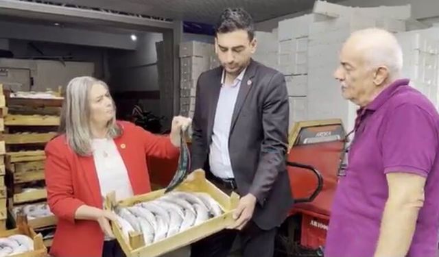 SUİÇMEZ: BALIKÇI EMEĞİNİN KARŞILIĞINI ALAMIYOR