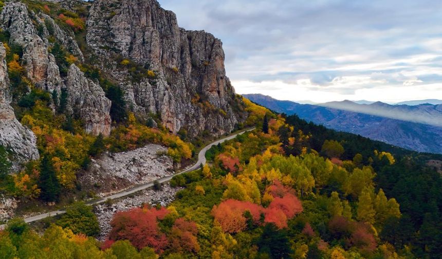 Sonbaharın gelişiyle birlikte doğanın altın sarısı renklere büründüğü Gümüşhane dağları, eşsiz manzaralarıyla doğaseverleri ve fotoğrafçıları mest ediyor. 