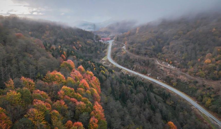 Cankurtaran ormanlarındaki renk cümbüşü havadan görüntülendi (Artvin Haber)