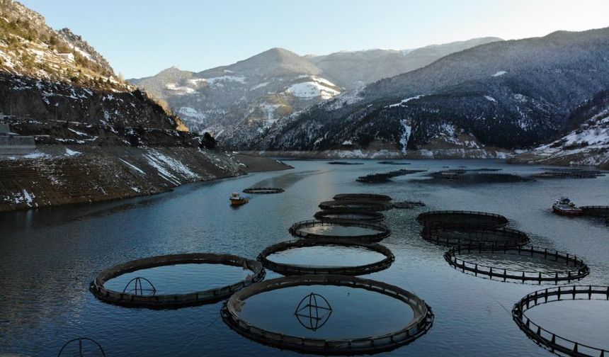 Gümüşhane’den Dünyaya Karadeniz Somonu İhracatı