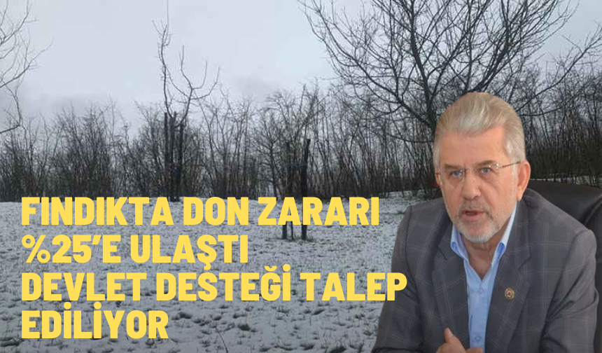 “Don, Fındık Üreticisini Zor Durumda Bıraktı”