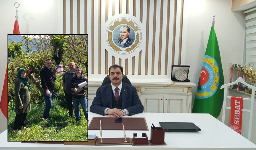 Mayıs ayında fındık bahçelerinde yapılacaklar için Akçaabat Ziraat Odası Başkanlığından önemli uyarı