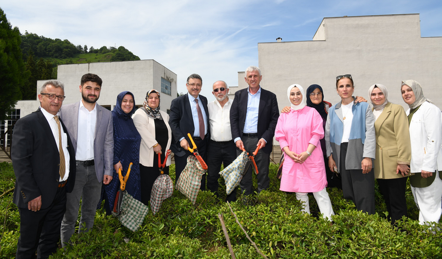 Genç’ten üreticiye müjde: “Ortahisar’da çay fabrikası kurulacak”