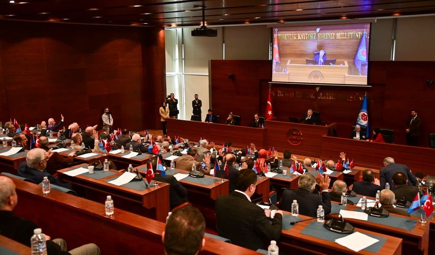 Sokak Hayvanları İçin Düzenleme