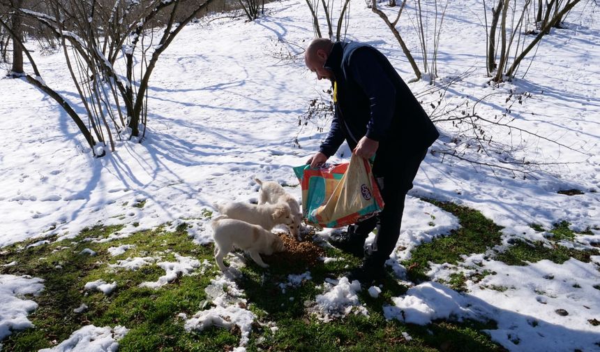Ortahisar Belediyesi, Soğuk Kış Günlerinde Sokak Hayvanlarını Unutmadı