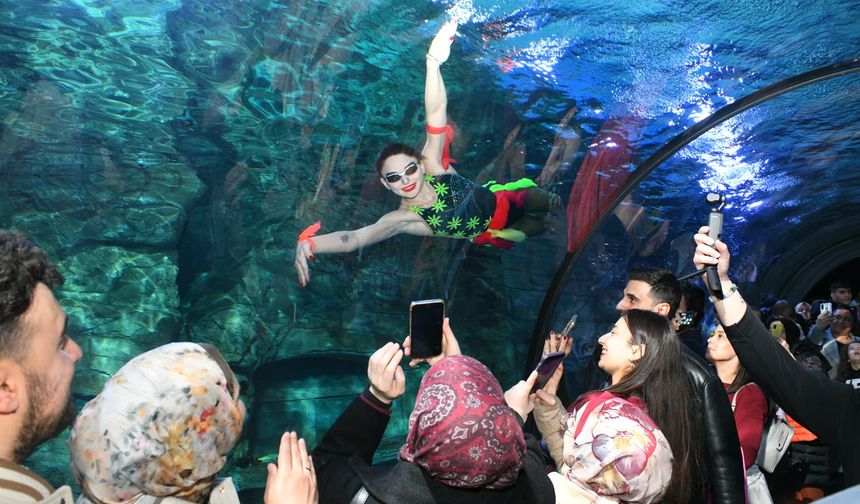 Tünel Akvaryum’da Su Balesi Gösterisi, 14 Şubat Sevgililer Günü’ne Heyecan Kattı