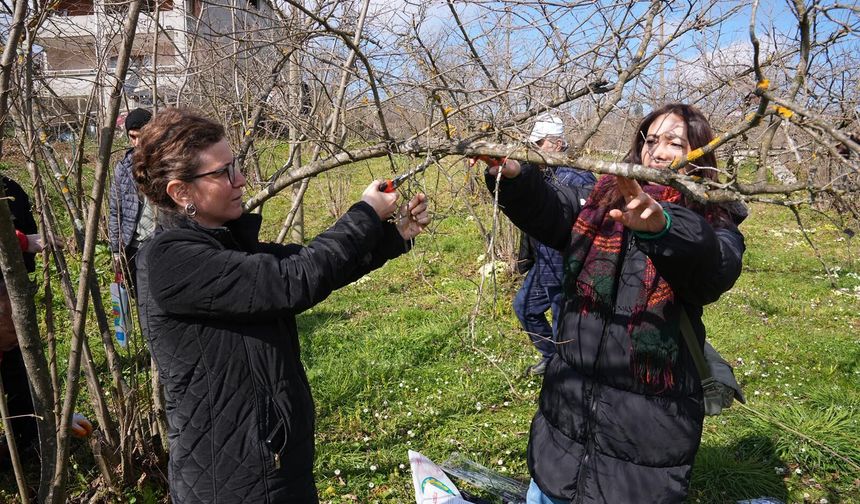 Ortahisar Belediyesi’nden Fındık Üreticilerine Eğitim Desteği
