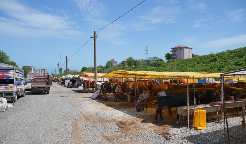 Kurban Hazırlıkları Tamamlandı