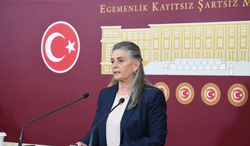 Milletvekili Suiçmez:  "Anayasa'ya Aykırı Madde Komisyondan Geçmemelidir"