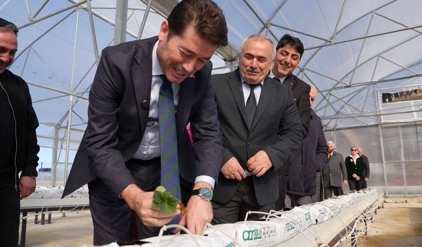 Ortahisar Belediyesi’nden Üreticilere Fide Desteği