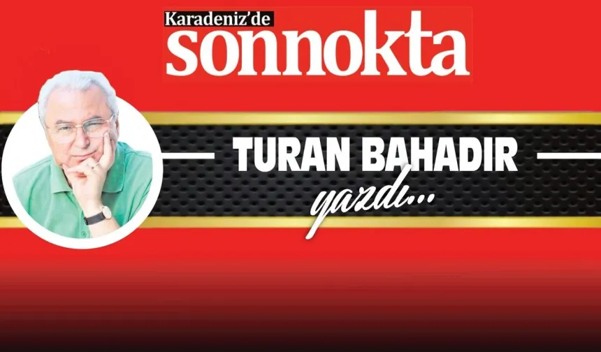 BİR FINDIK HİKAYESİ!