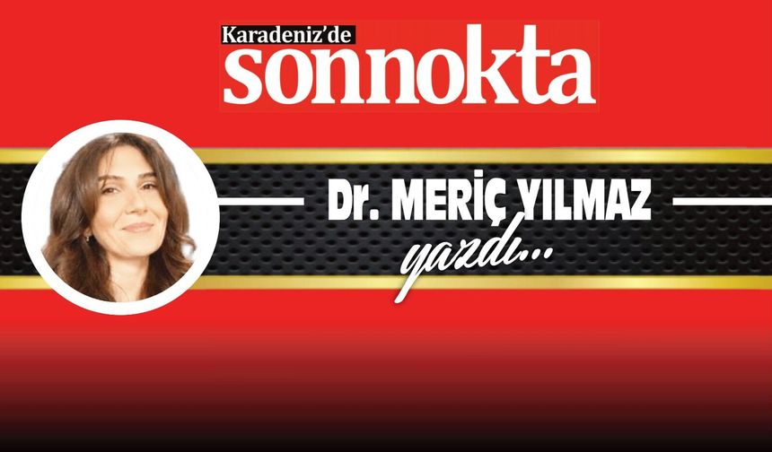 Dikkatimizi Kim Çaldı?