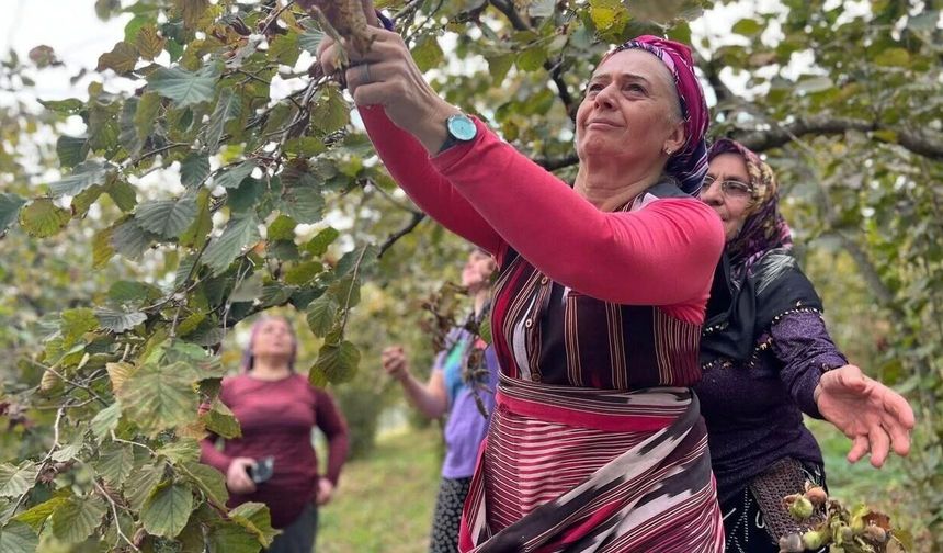 MİLLETVEKİLİ SUİÇMEZ: TABAN FİYATINI EN AZ 350 TL OLARAK DERHAL AÇIKLAYIN