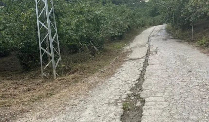 KÖPEK BARINAĞININ  FATURASI MI!
