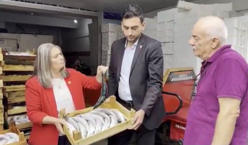 SUİÇMEZ: BALIKÇI EMEĞİNİN KARŞILIĞINI ALAMIYOR