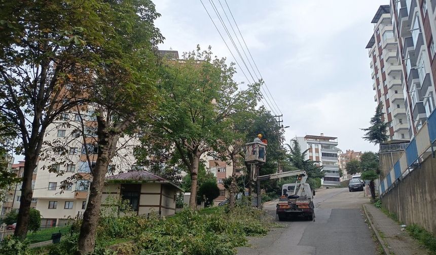 ORTAHİSAR BELEDİYESİ’NDEN KENTE SONBAHAR DOKUNUŞU