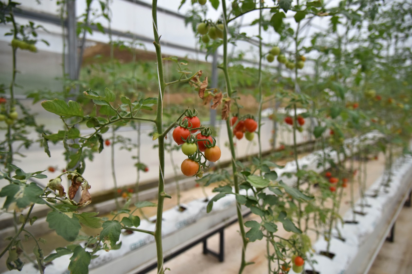 ‘En Mutlu Köy’ 2