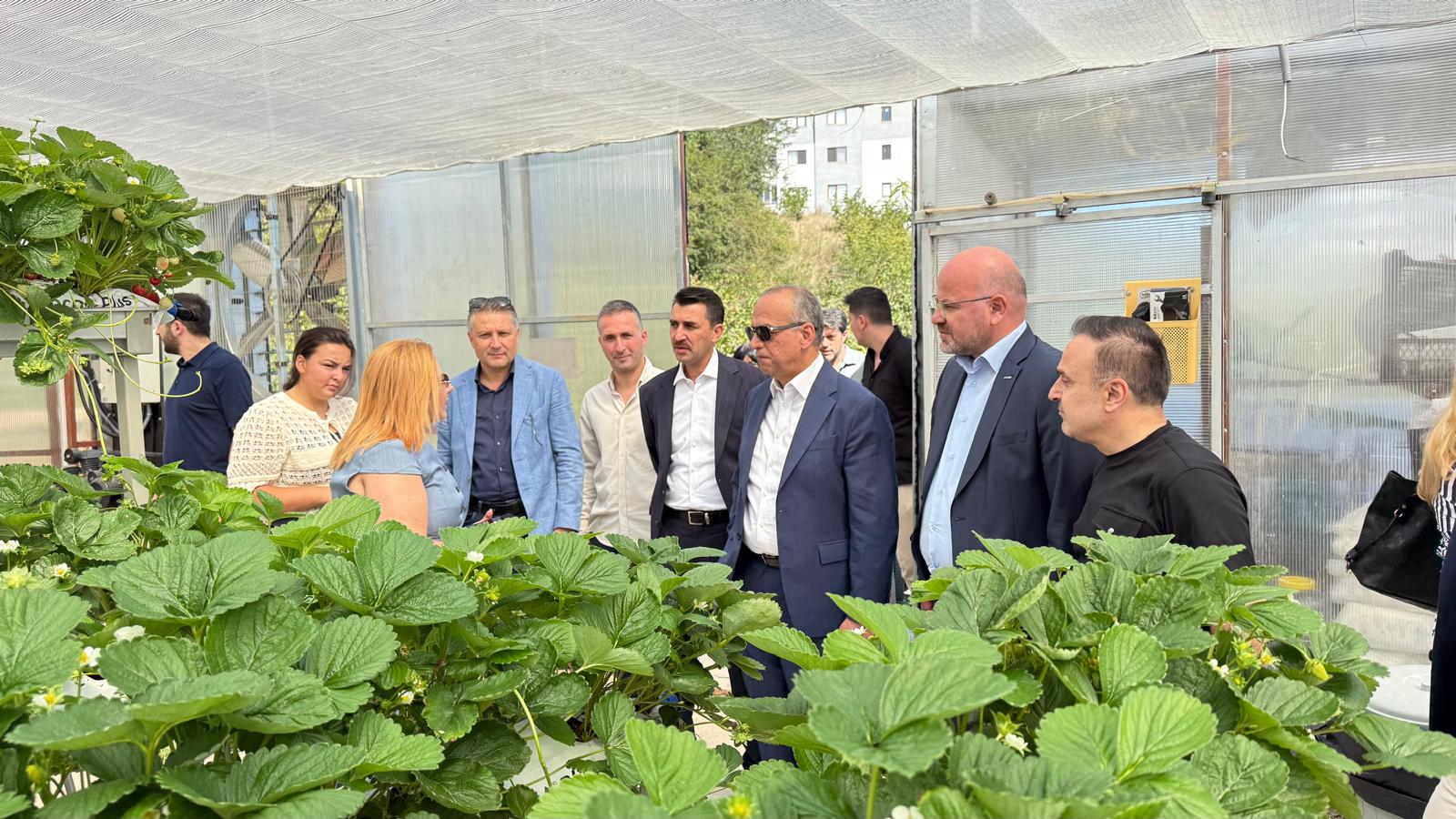 Whatsapp Image 2025 09 18 At 10.30.34