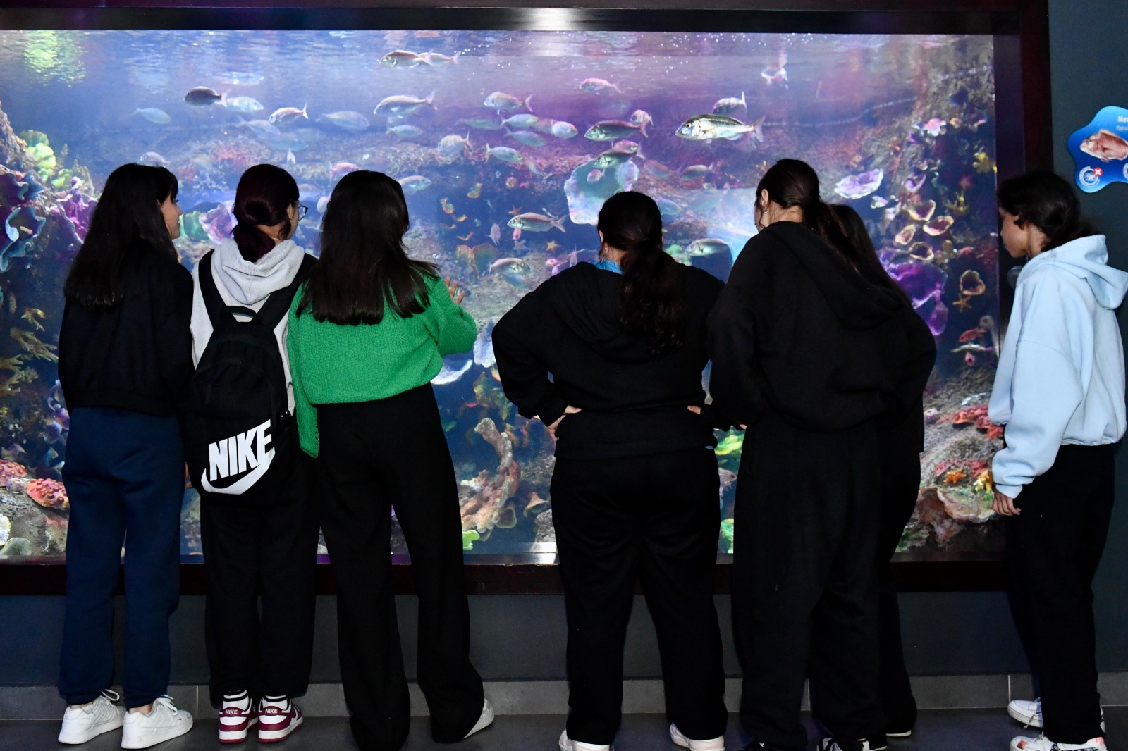 Whatsapp Image 2025 10 11 At 13.16.44