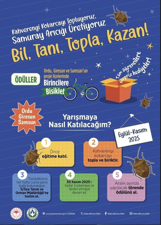 Whatsapp Image 2025 10 15 At 12.00.57