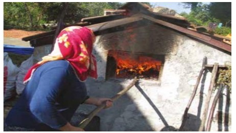 Whatsapp Image 2025 12 24 At 09.44.36