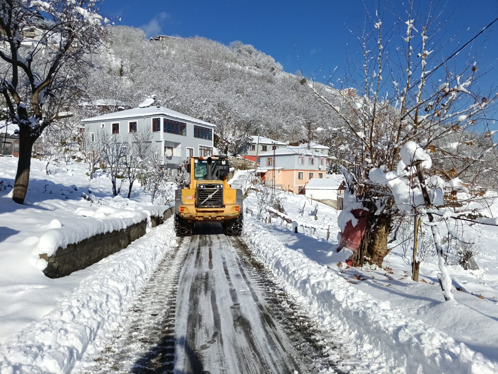 Whatsapp Image 2026 01 02 At 11.29.26 (1)