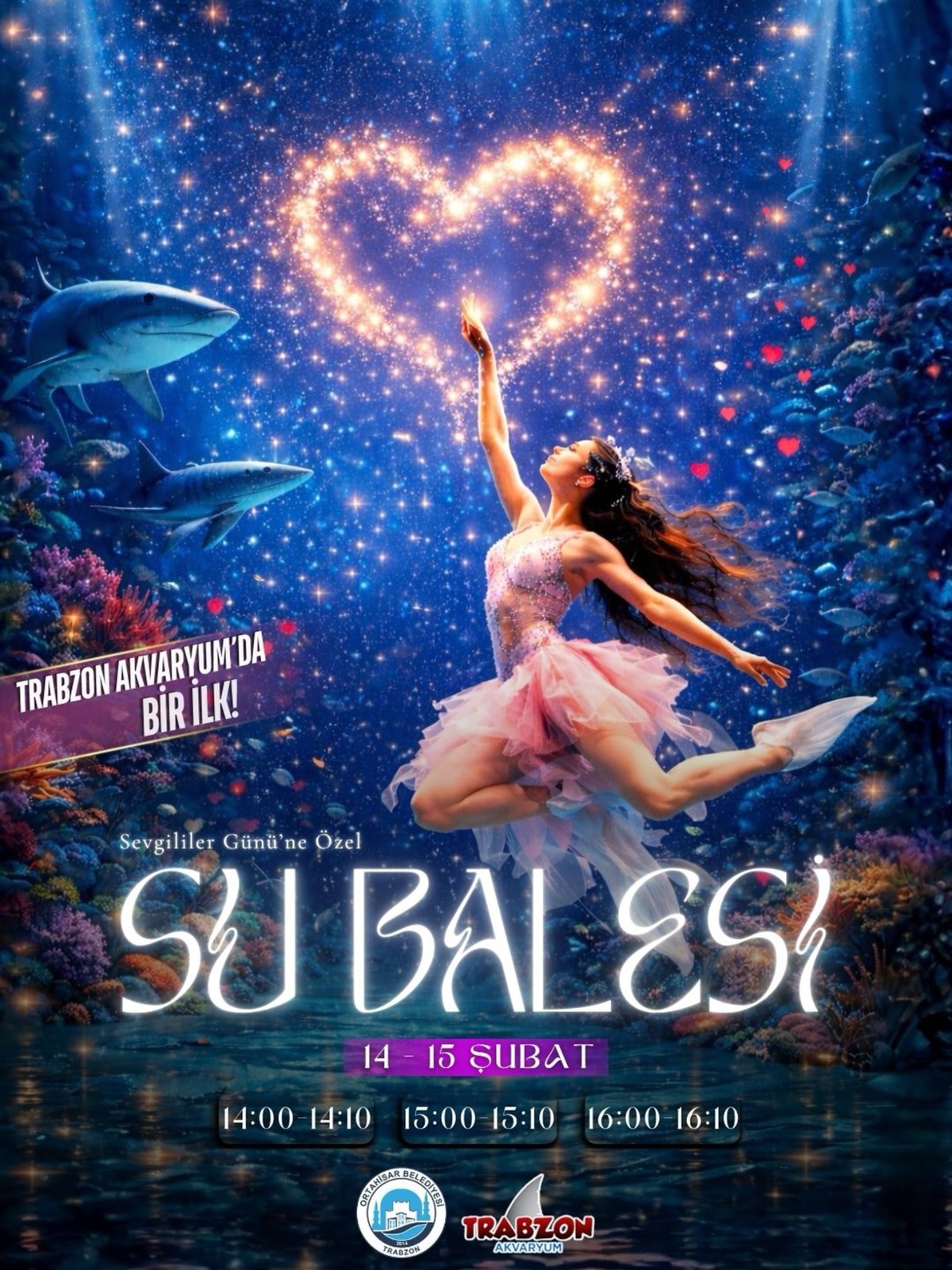 Whatsapp Image 2026 02 12 At 11.34.05