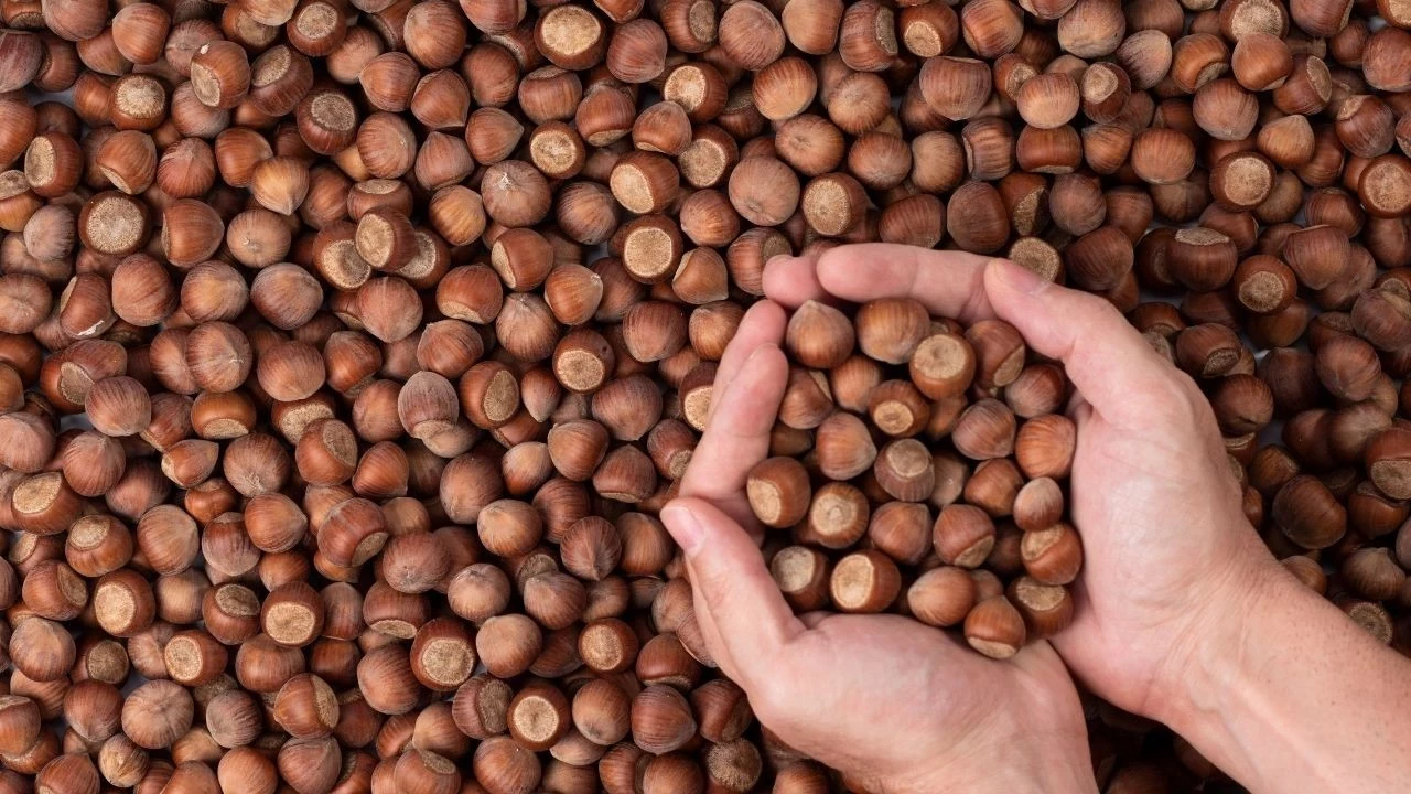 Sorumluluk Çiftçide 2