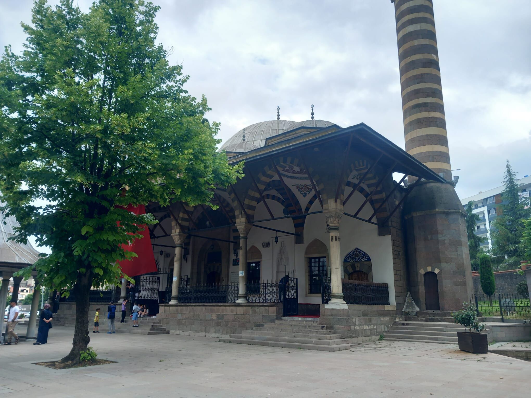 Dişi Şahane 1-1